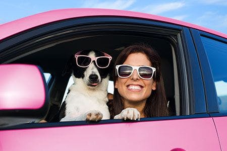 veterinary-woman-dog-vacation-sunglasses-pink-car-AdobeStock_138367172-450.jpg
