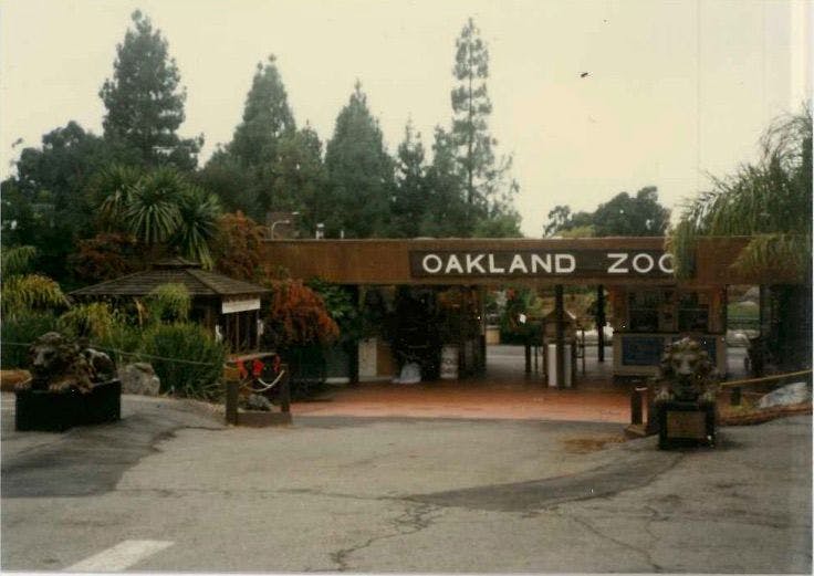 The main entrance of Oakland Zoo in the 1990's (Photo courtesy of the Conservation Society of California).
