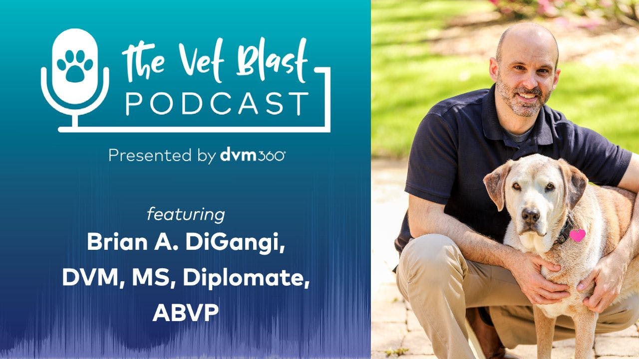 Vet Blast Podcast with Brian A. DiGangi
