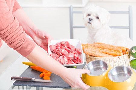 veterinary-sad-white-dog-raw-meat-nutrition-vegetables-food-AdobeStock_106790449-450.jpg