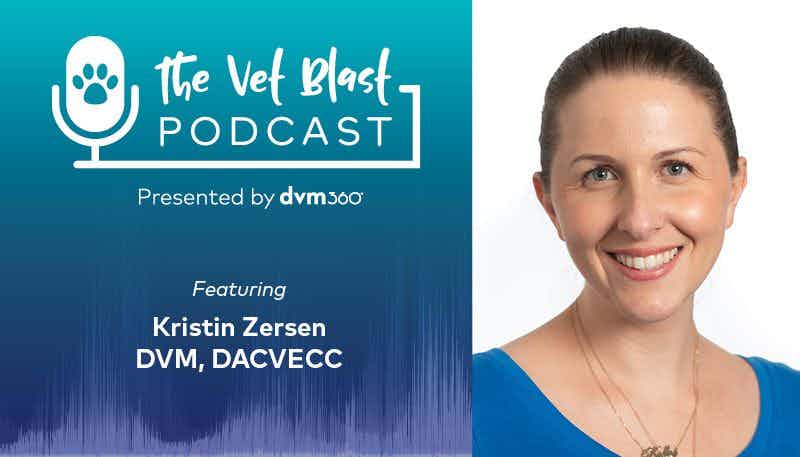 Vet Blast Podcast episode with Kristin Zersen, DVM, DACVECC