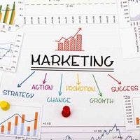 The Big 5 Online Marketing Tactics Every Veterinary Business Must Have