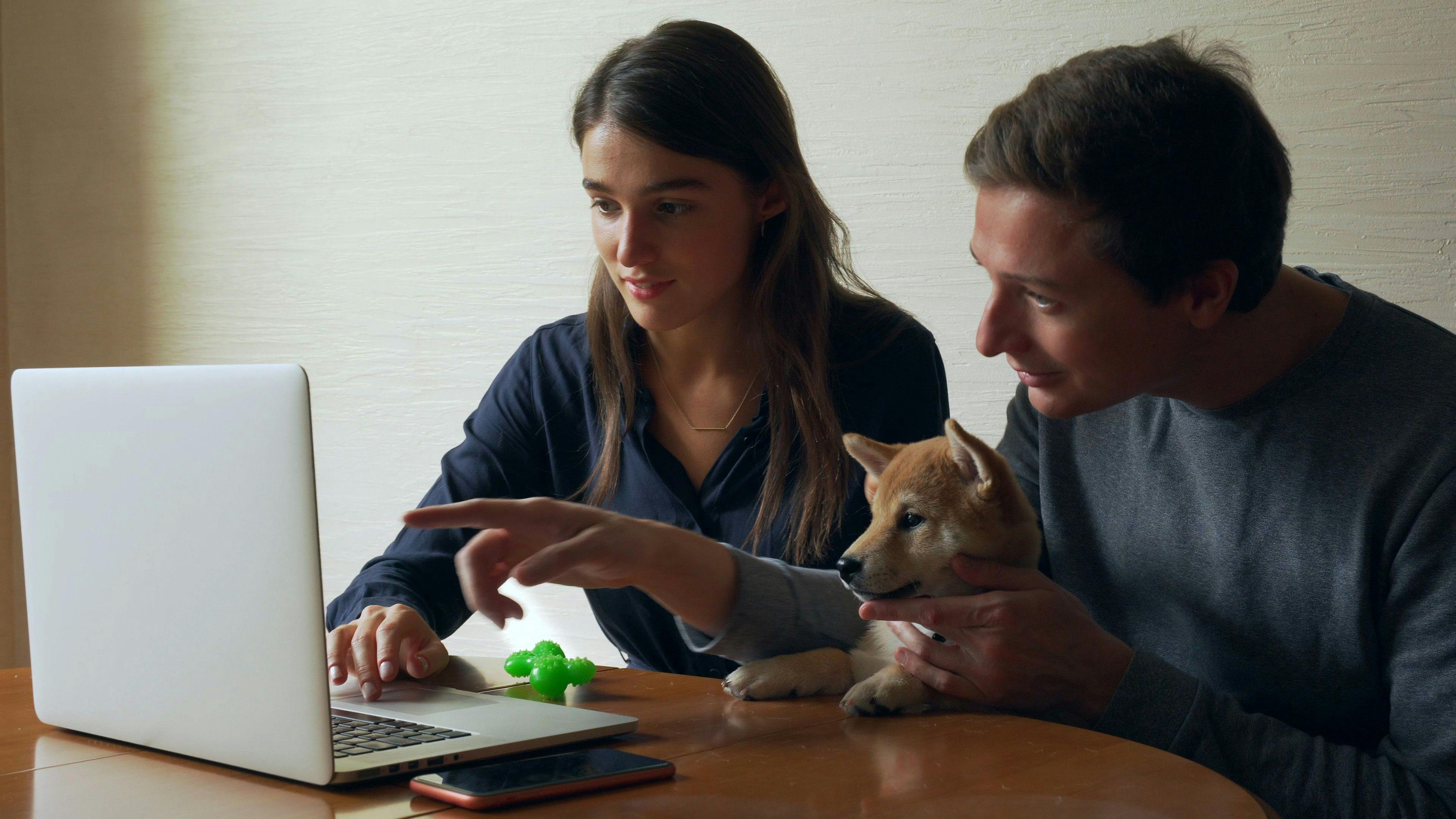 Couple with dog looking at computer by Alexander Belinskiy