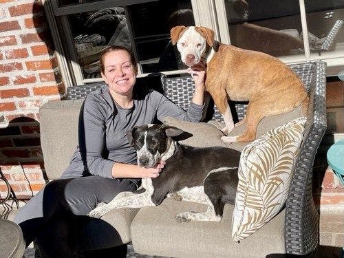 Ted, the dog pictured on the right, found a home through PetSmart Charities' efforts during a National Adoption Week (Photo courtesy PetSmart Charities). 