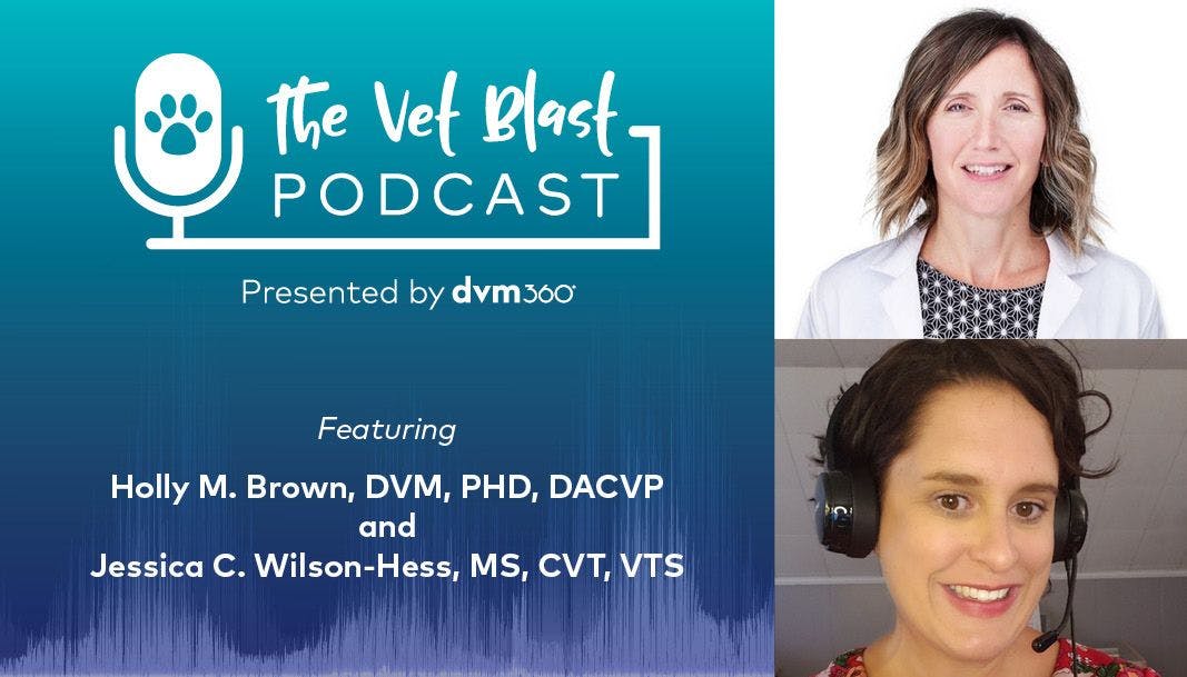 Vet Blast Podcast with Holly M. Brown and Jessica C. Wilson-Hess