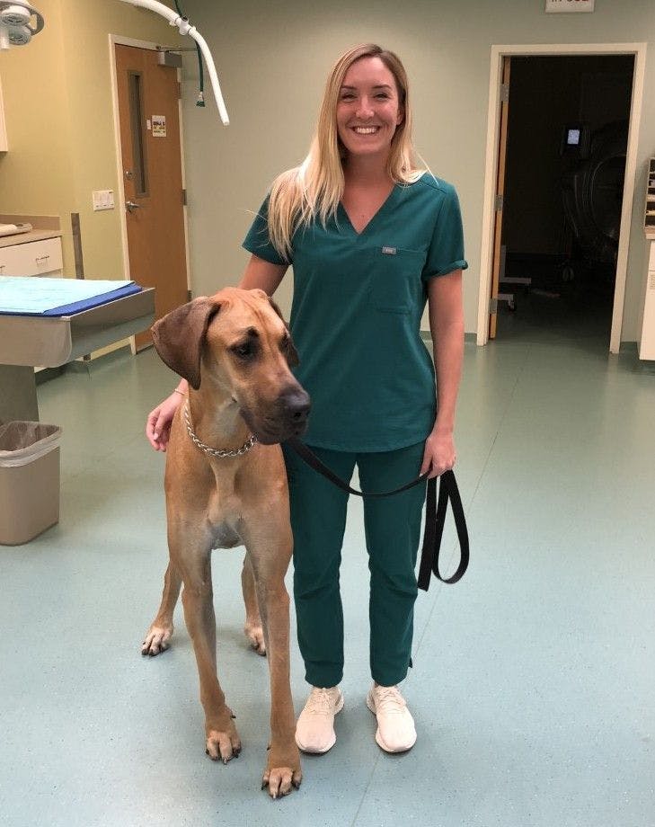 Victoria Koehler, DVM, new director of shelter medicine at Furry Friends in Florida (Photo courtesy of Furry Friends Adoption, Clinic & Ranch).