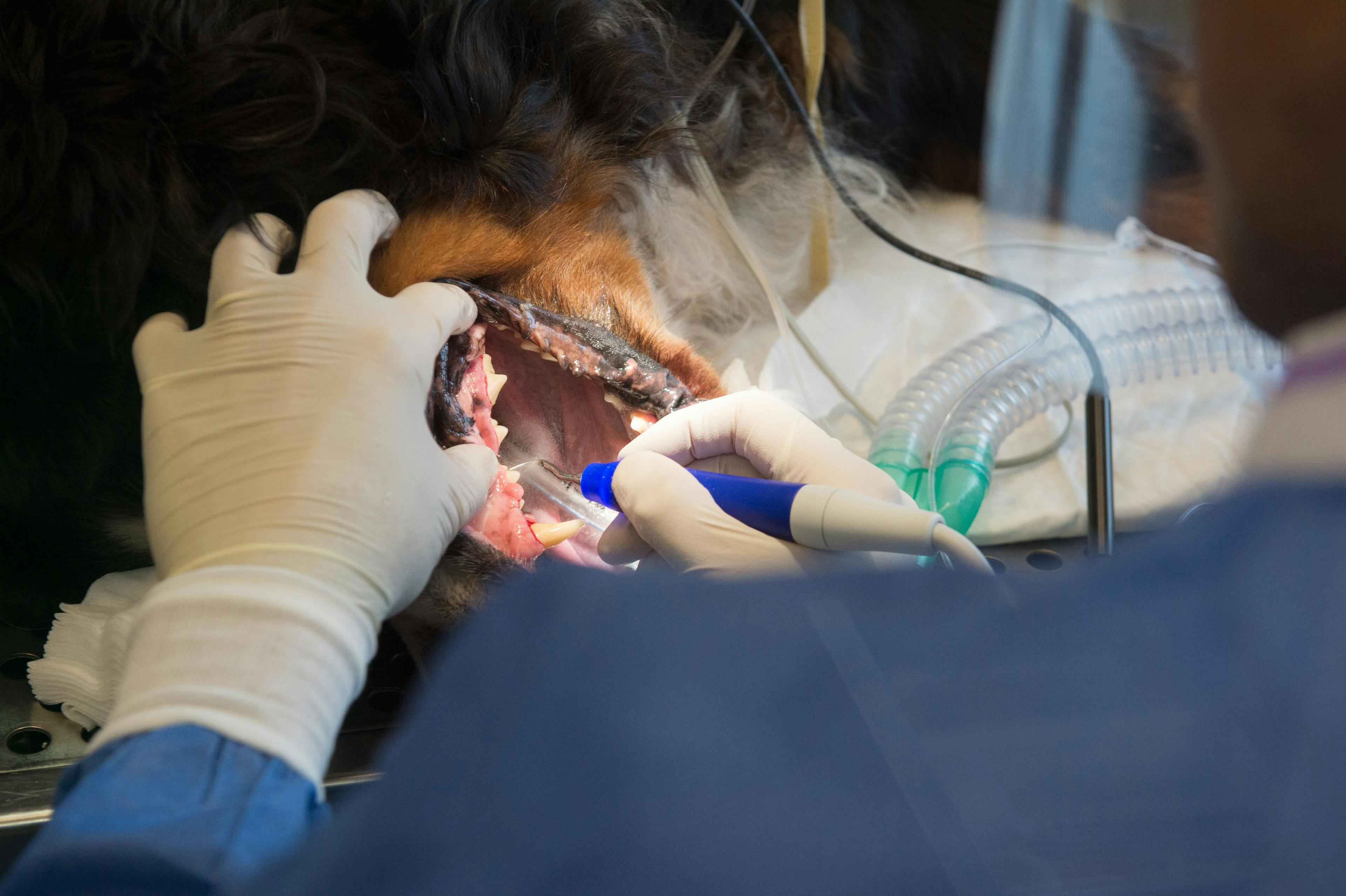How to avoid common pitfalls with anesthetic monitoring in dentistry cases