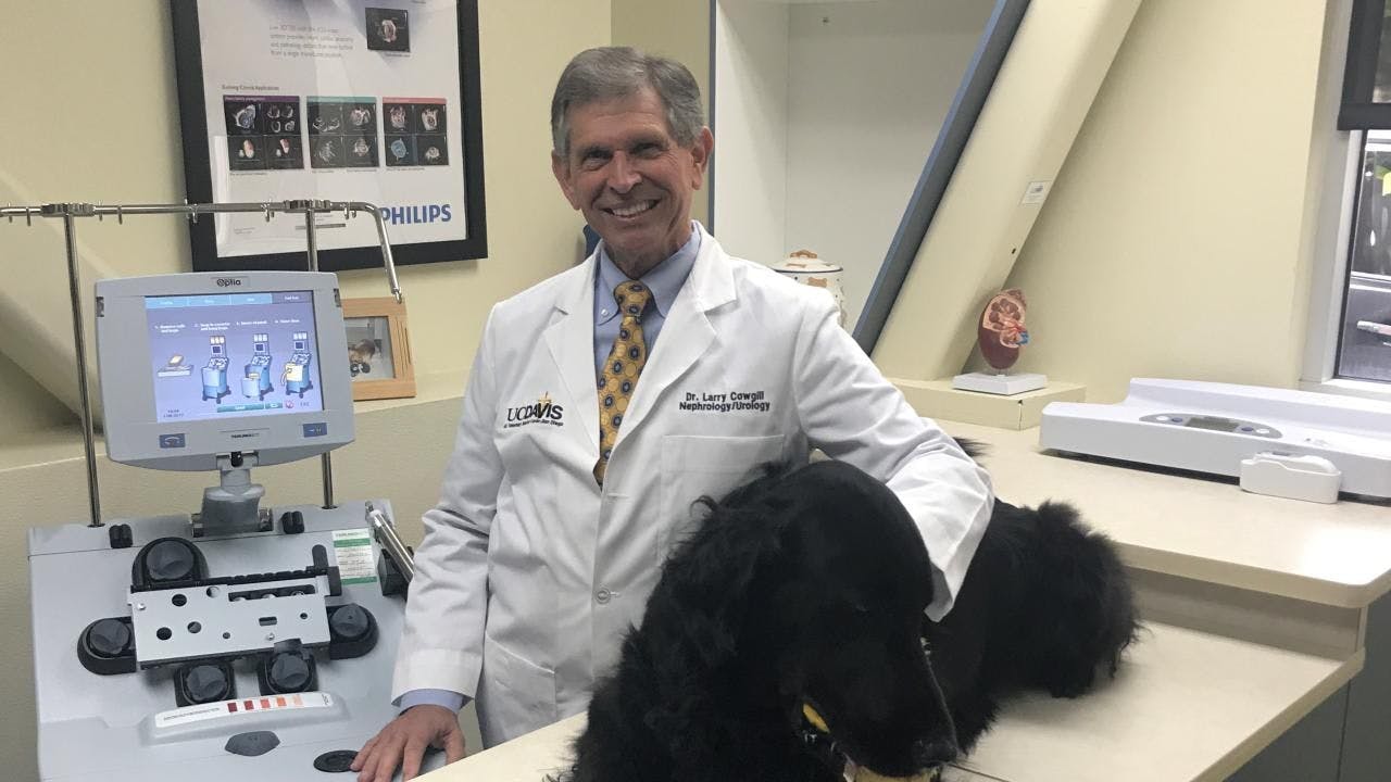 Dr Larry Cowgill with a patient at the UC Veterinary Medical Center - San Diego (Photo courtesy of UC Davis School of Veterinary Medicine).
