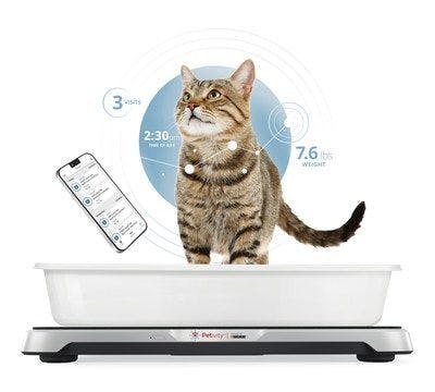 Purina unveils AI-powered litter  box system