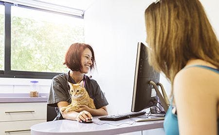 veterinary-woman-with-cat-at-computer-veterinarian-covetrus-AdobeStock_161512636-450.jpg