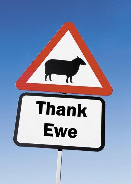 veterinary-red-and-white-triangular-road-sign-with-a-thank-ewe-play-on-words-450px-shutterstock-330503417.jpg