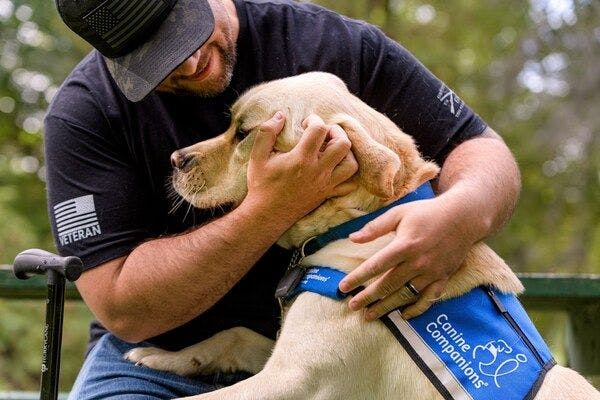 Synchrony donates to Canine Companions in honor of National Service Dog Month