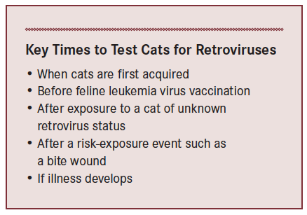 Retroviruses in Cats