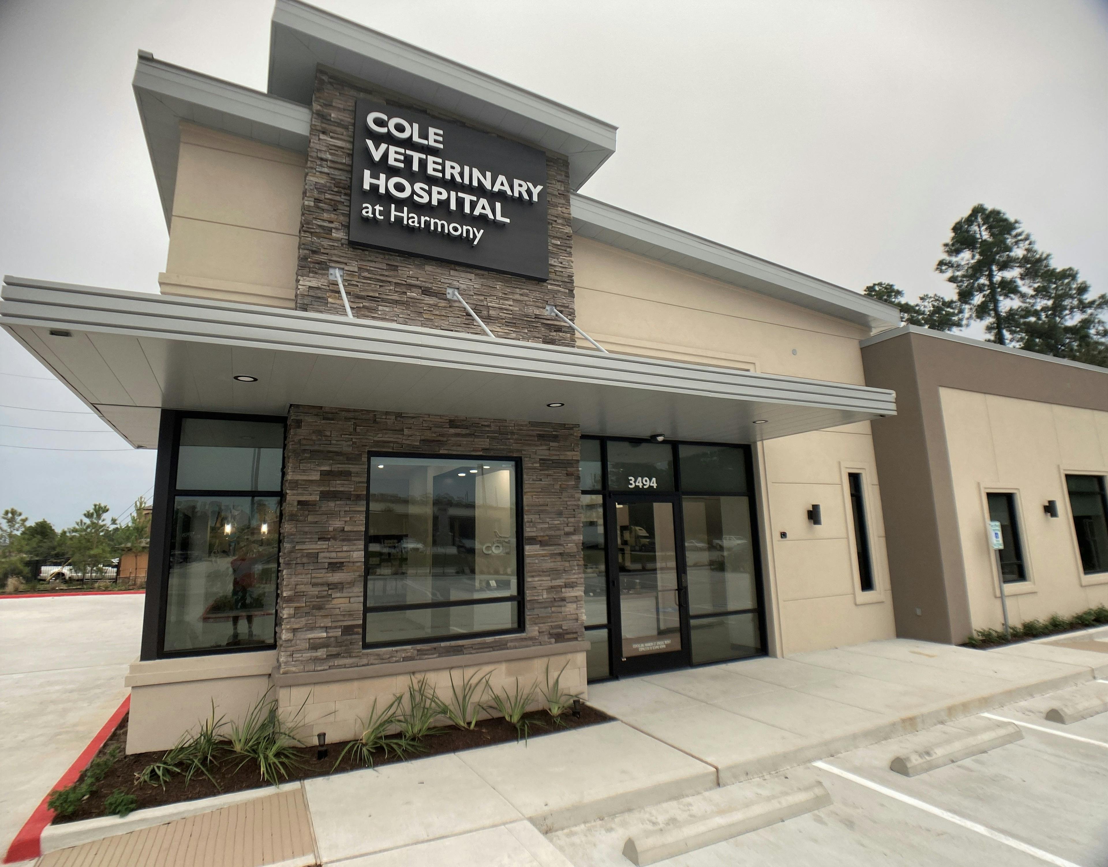 Dream team creates their ideal veterinary clinic