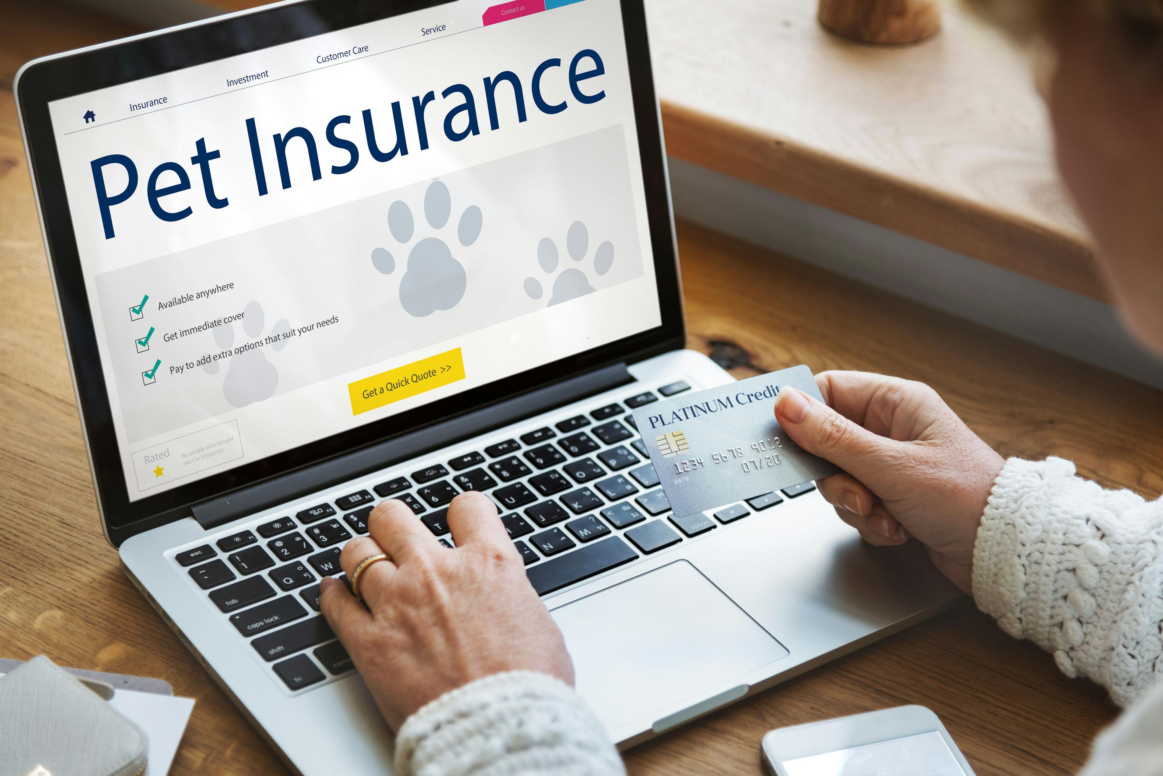 Chewy announces CarePlus pet insurance expansion 