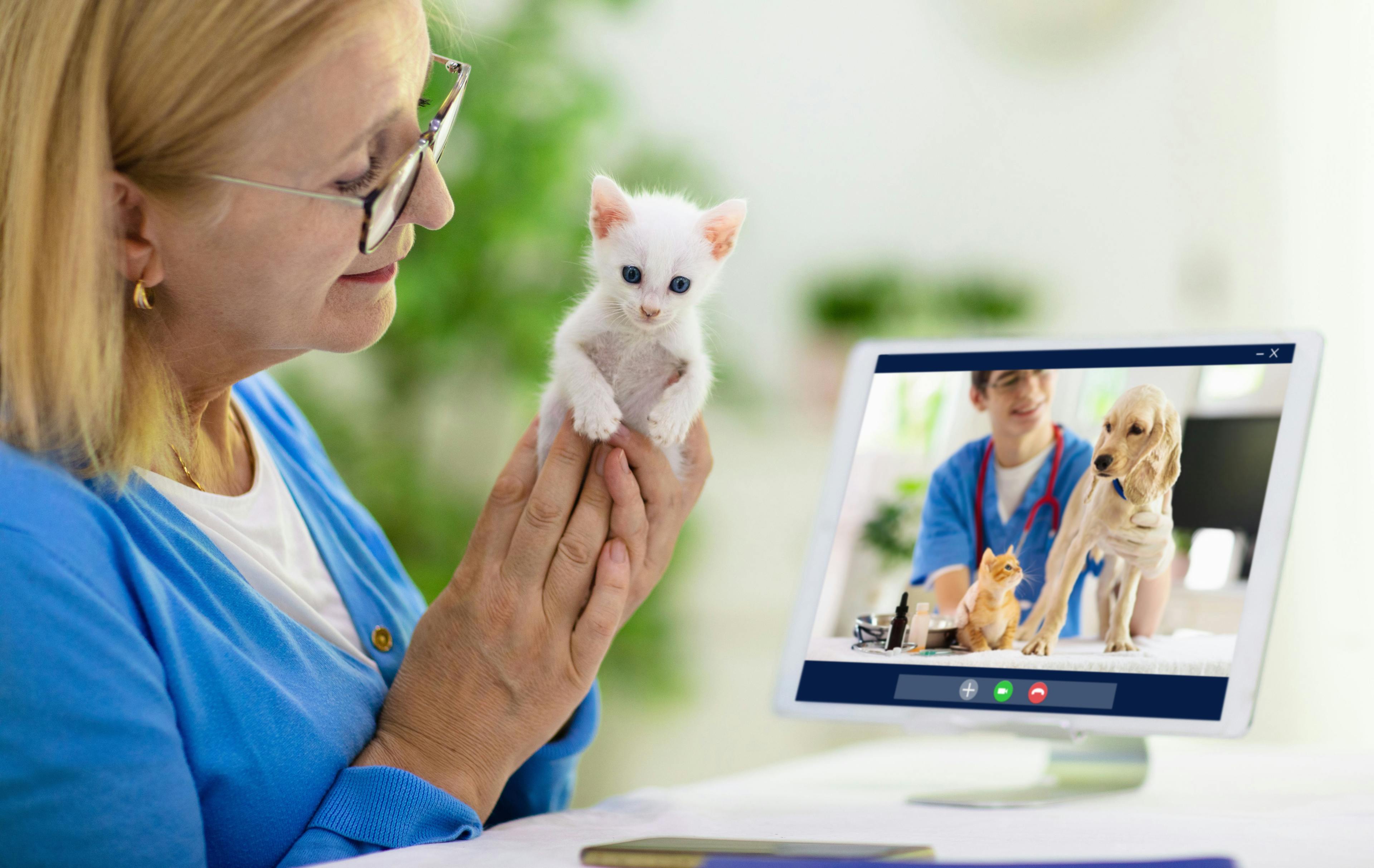 The team approach to veterinary telemedicine