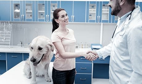 veterinary-new-vet-AdobeStock_201420490_450.jpg
