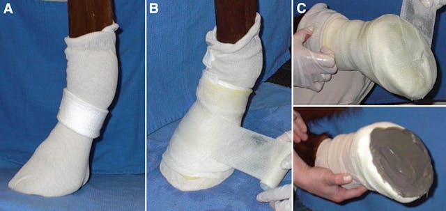 How to apply a phalangeal cast in horses