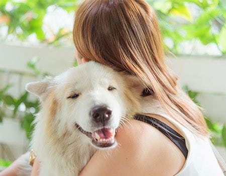 veterinary-woman-hugging-dog-main.jpg