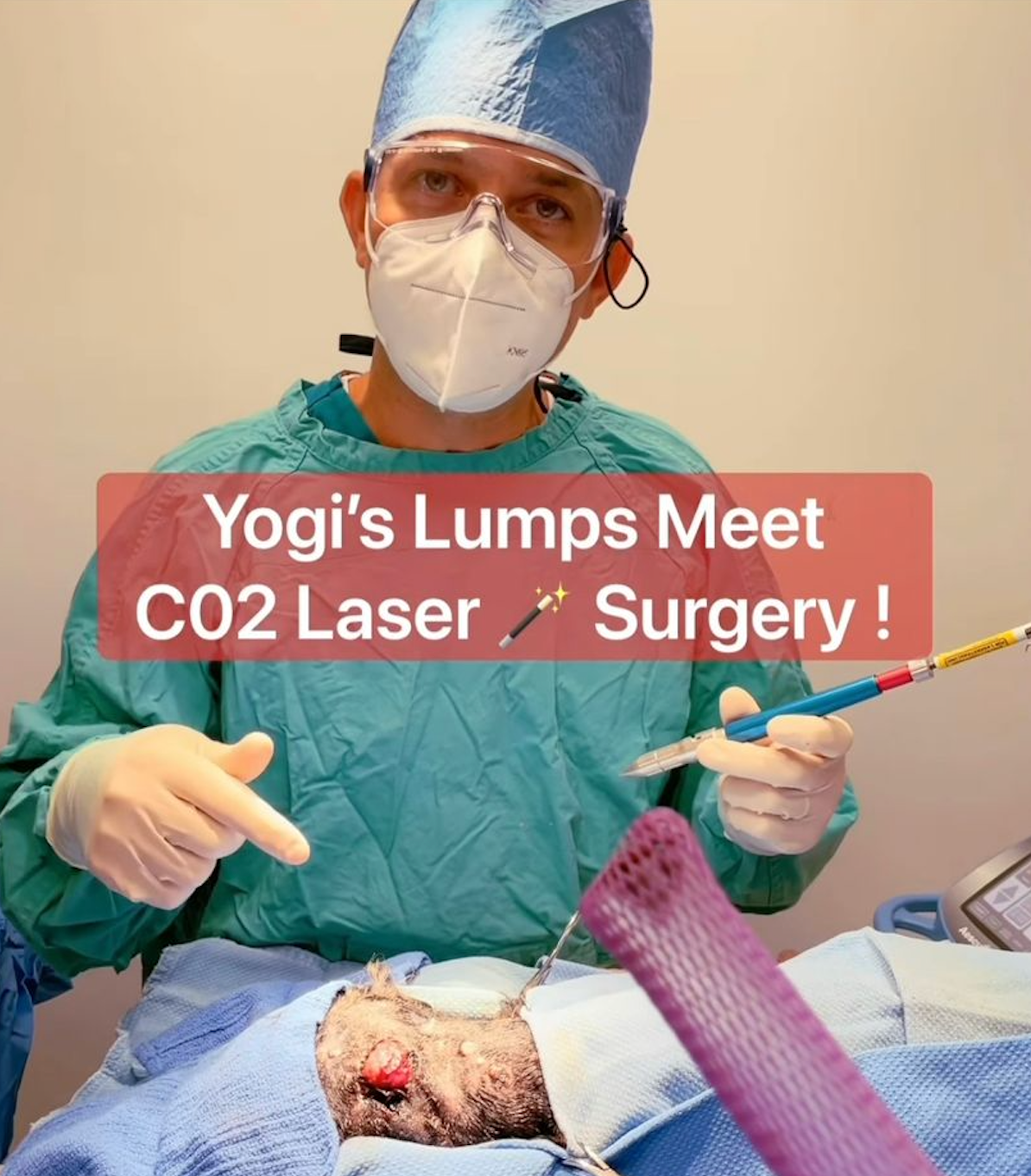Light it up: Laser surgery in veterinary medicine