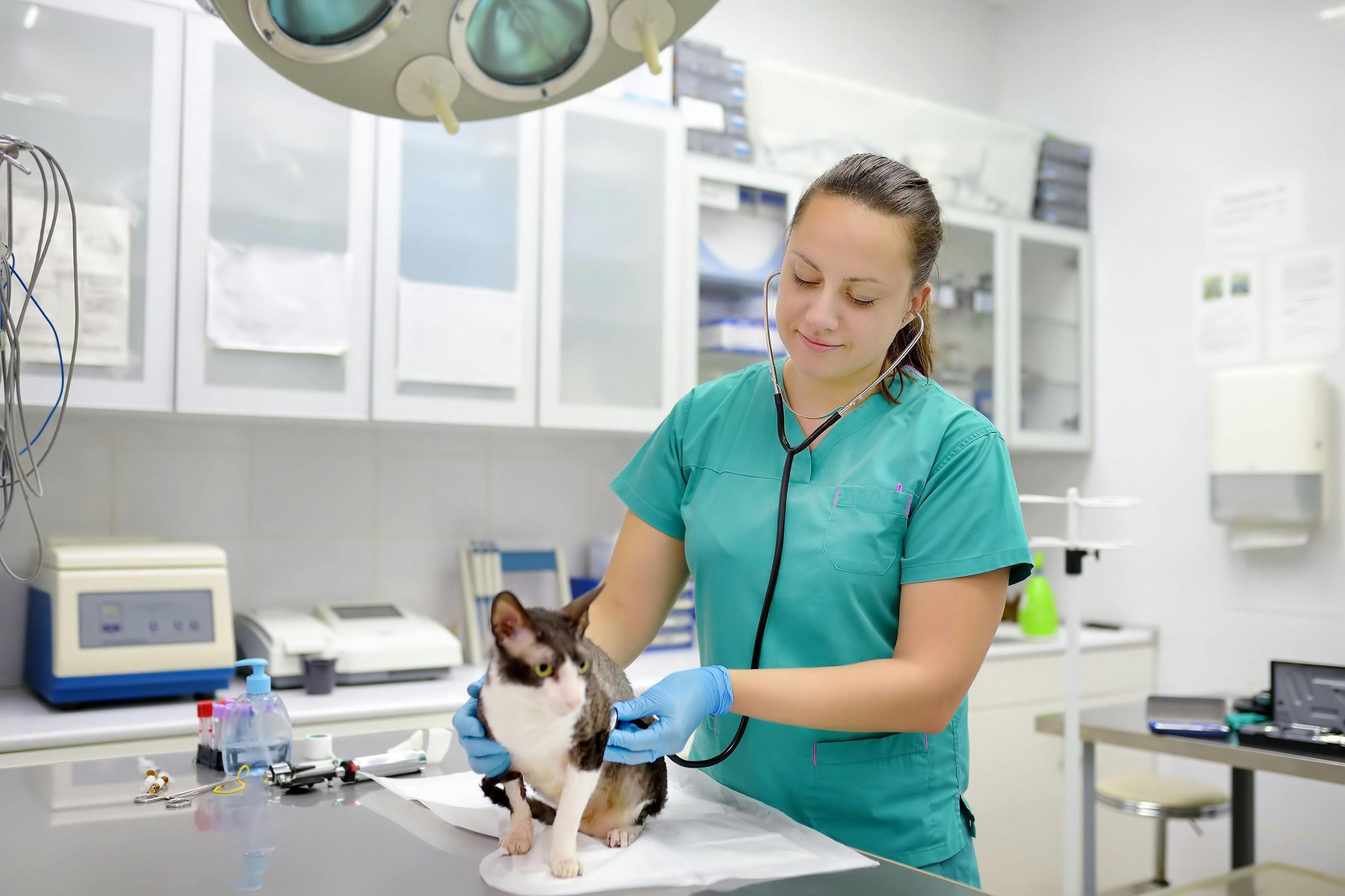 NAVC announces new initiatives for veterinary nurses/technicians