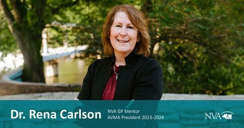 National Veterinary Associates recognizes appointment of Dr Rena Carlson to AVMA president