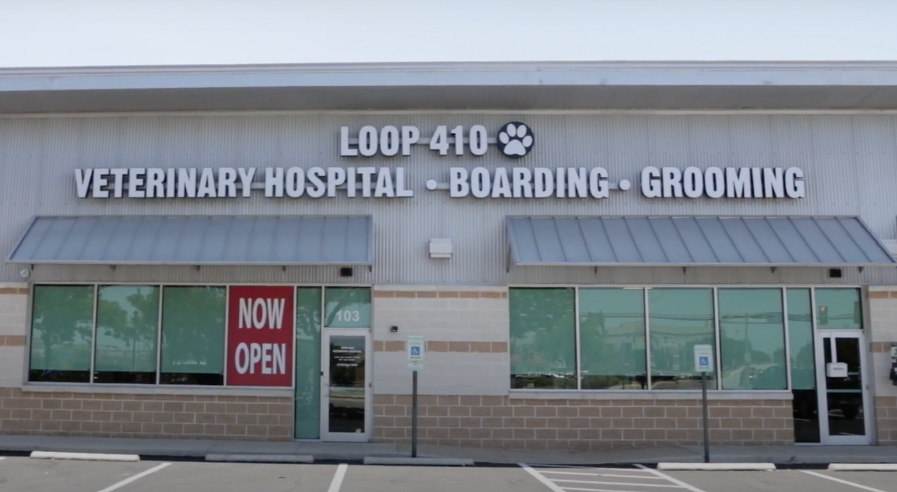 Loop 410 Veterinary Hospital relocates to new facility in San Antonio 