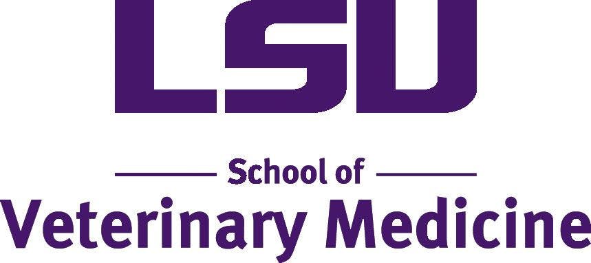 New Comparative Biomedical Sciences department lead at LSU