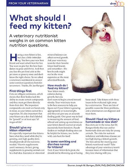 veterinary-kitten-nutrition-client-handout-450.jpg