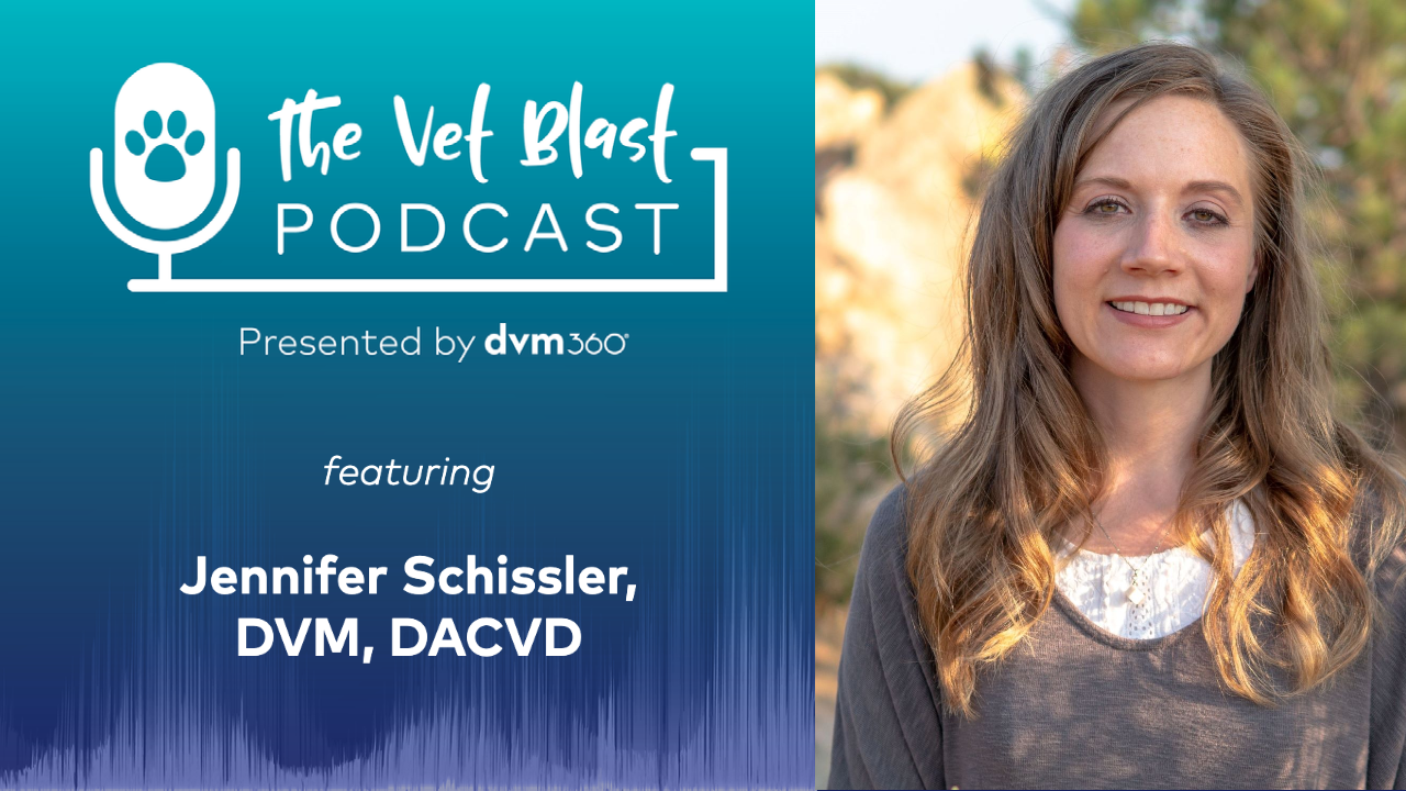 Vet Blast Podcast with Jennifer Schissler