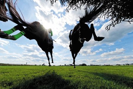 veterinary-low-angle-view-horse-racing-steeplechase-jumping-162357664-body.jpg