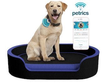 Petrics Smart Pet Bed