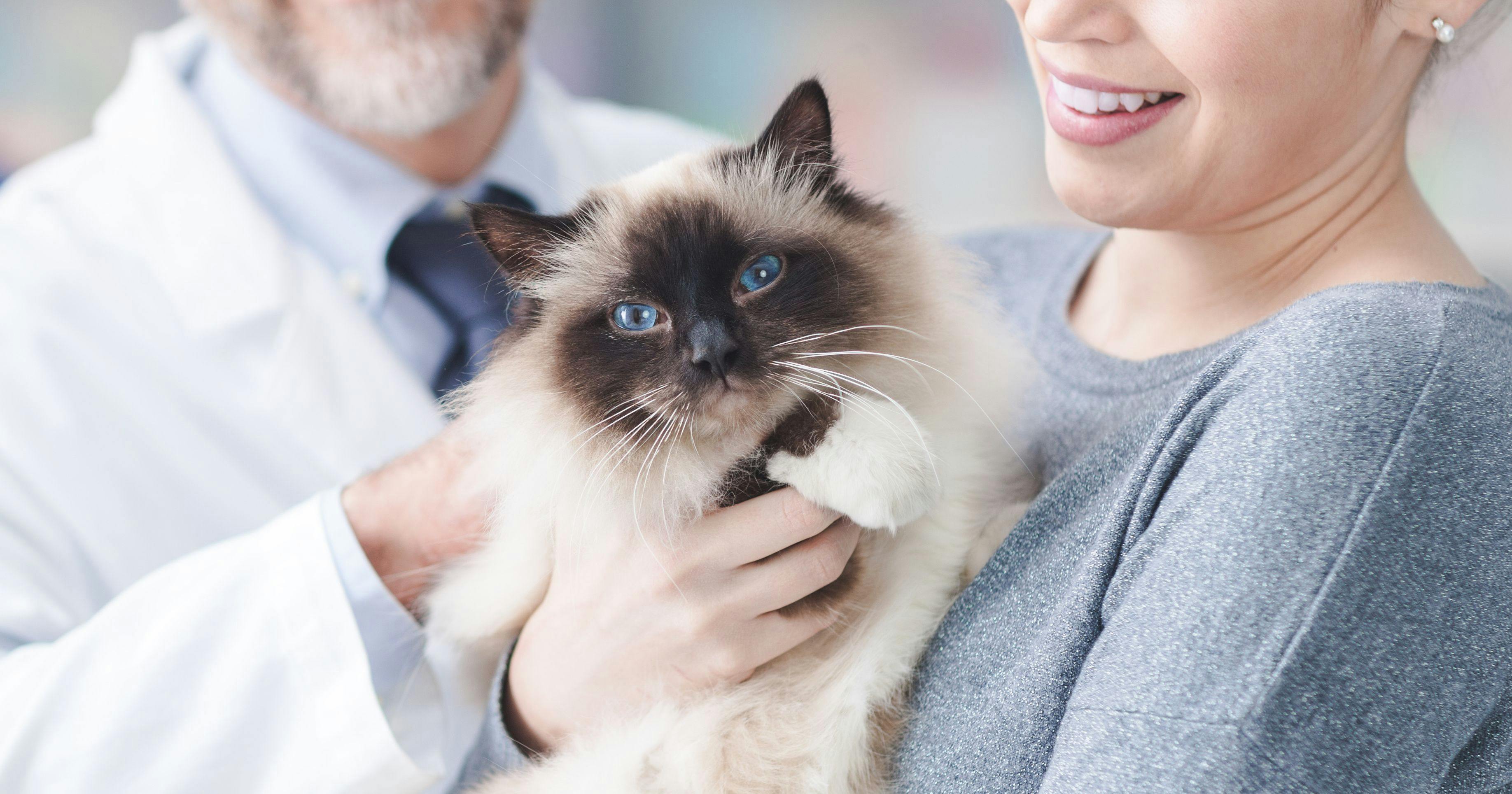 Yes, your pet must visit the veterinary office