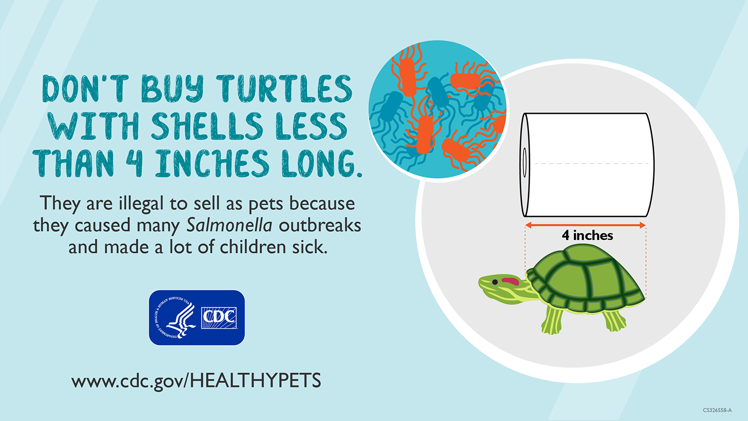 Salmonella outbreak connected to pet turtles 