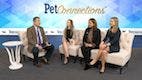 American Veterinarian Launches Pet Connections With a Discussion on Pet Diabetes