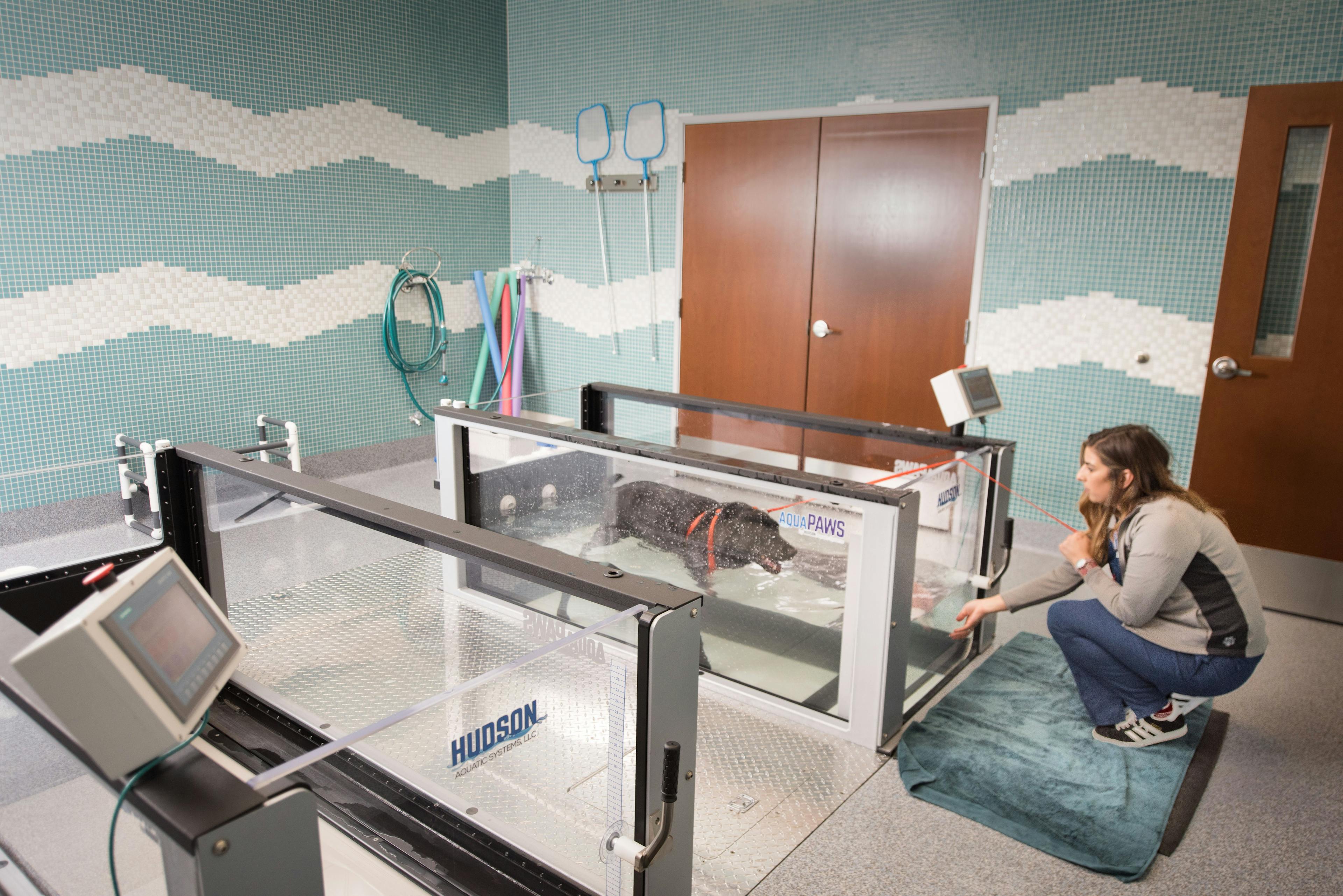 The rehabilitation room features a water treadmill, and a wave motif on the tile walls.