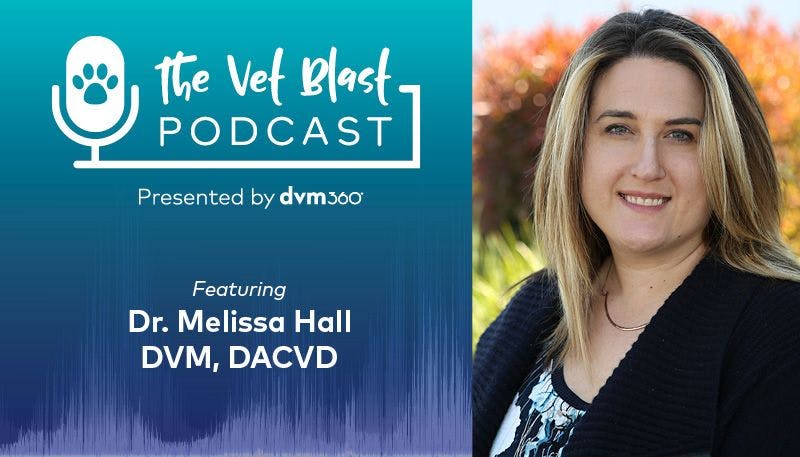 Vet Blast Podcast with Dr. Melissa Hall