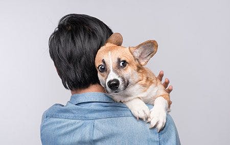Emotional contagion: When your stress becomes your dogs stress, too