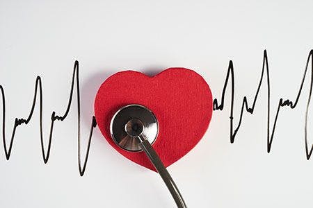 Veterinary-heart-beat-stethescope-AdobeStock_170531863_450.jpg
