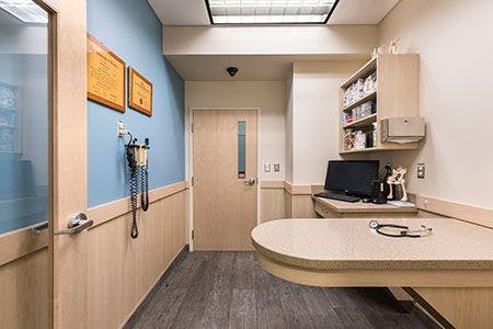 2019 Hospital of the Year: Small but mightyaward-winning design in a tiny strip-mall practice