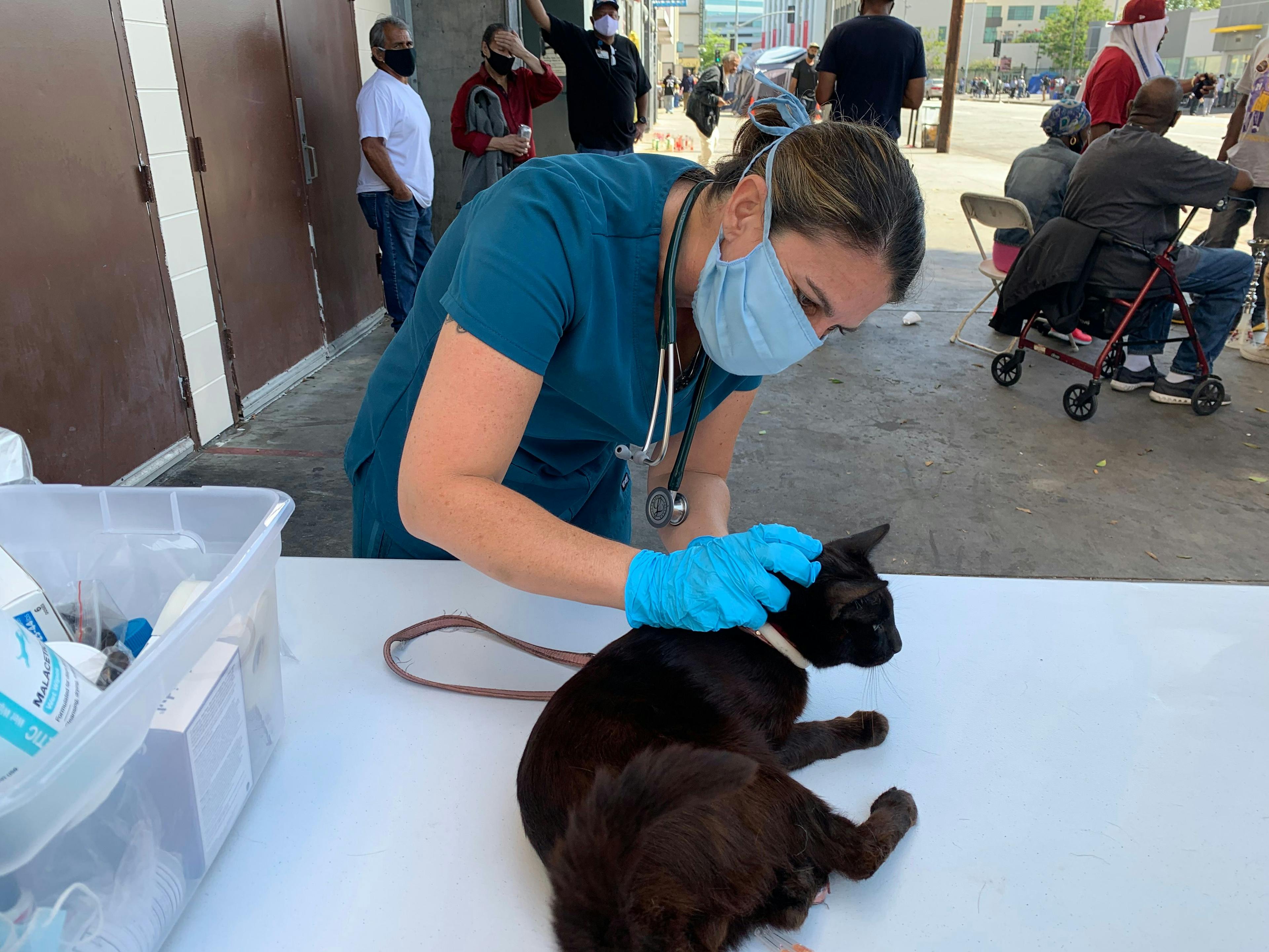 ElleVet kicks off second mobile relief tour expanding free veterinary care