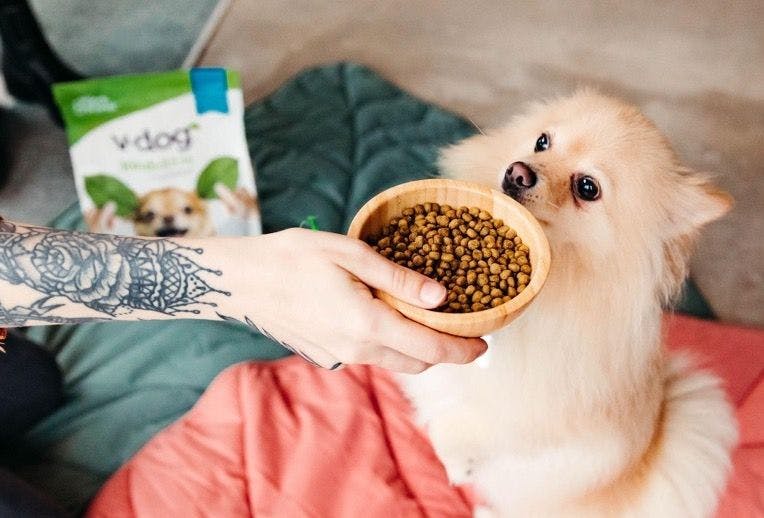 Plant-based diet for dogs