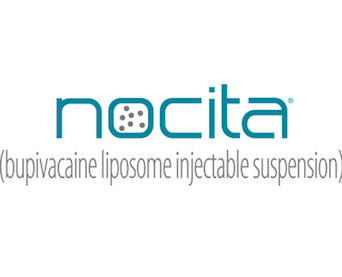 Noctia Logo
