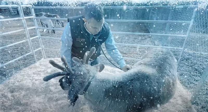 Wellness check on Santa's reindeer? There's a veterinarian for that!