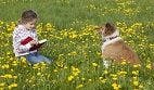 Dogs, Kids, and Reading Performance: Is There a Connection?