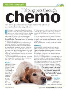 veterinary-handout-chemo-homecare-480392447-172243613.jpg
