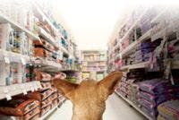 Veterinary-dog-food-aisle-809112-1382854097486.jpg