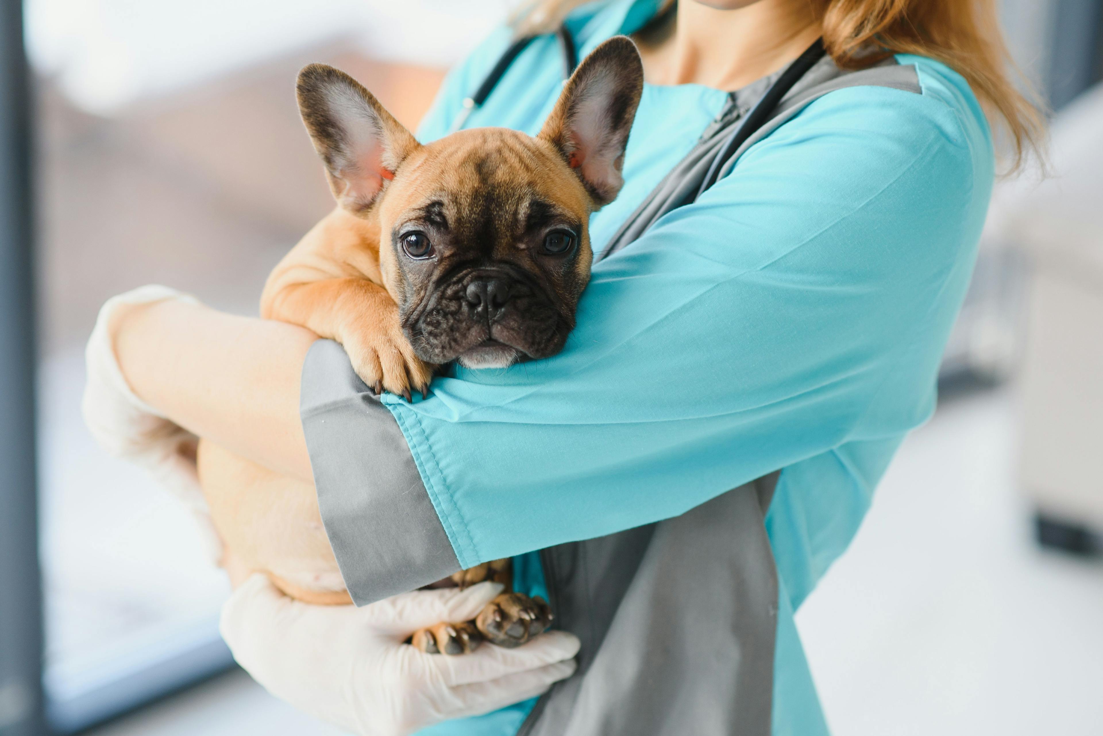 Outside toxicology experts can save pets’ lives