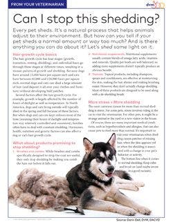 veterinary-handout-What-can-I-do-to-stop-this-shedding-250.jpg