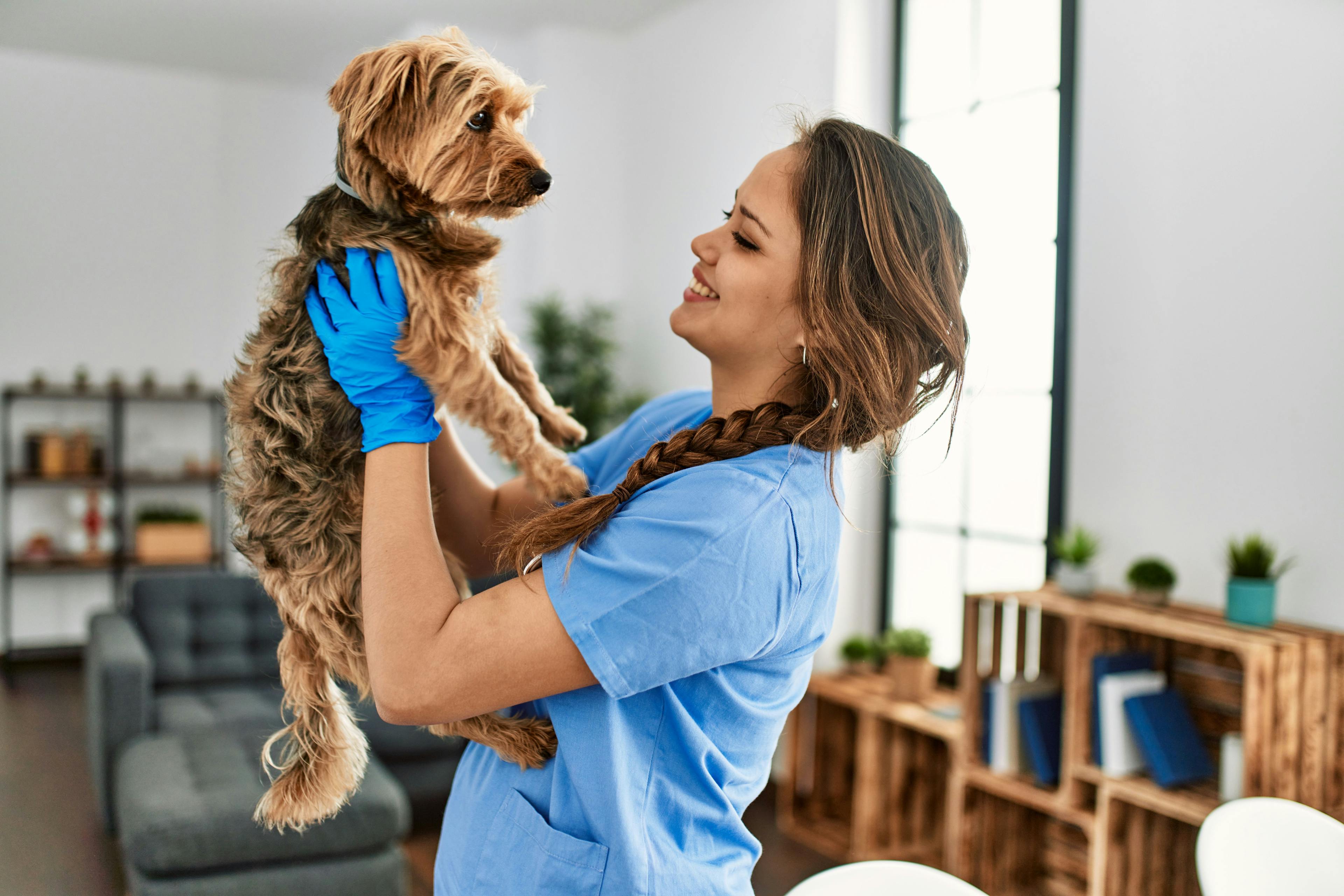Breaking the language barrier: The importance of bilingual veterinarians 